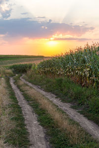 Road amidst field against sky during sunset