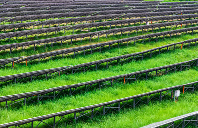 Full frame shot of agricultural field