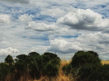 Scenic view of landscape against cloudy sky