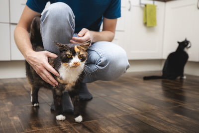 Portrait of cat sitting on floor