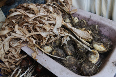 High angle view of fish for sale in market