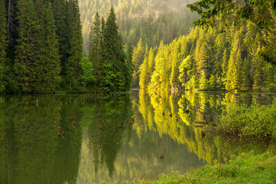 Scenic view of lake