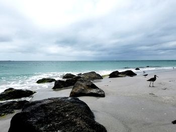 Scenic view of rocks on beach against sky