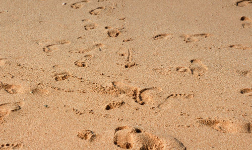 High angle view of footprints on sand