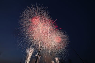 Low angle view of firework display at night