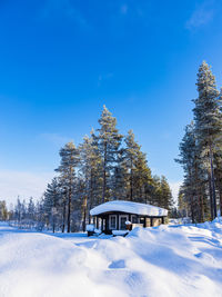 Trees on snow covered field against sky