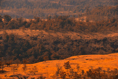 Scenic view of landscape during autumn