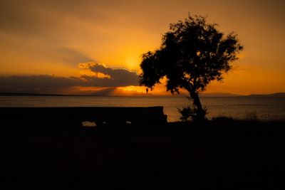 Silhouette tree by sea against sky during sunset