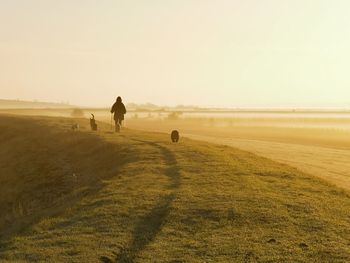 Silhouette people walking at beach