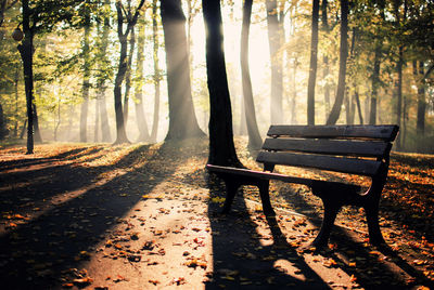 Scenic view of bench on field against trees