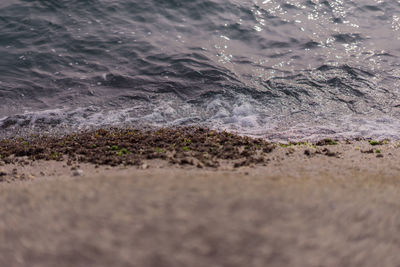 Close-up of waves on beach