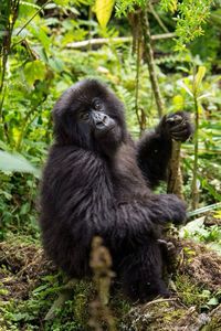 Close-up of bird in water
