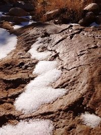 Close-up of snow on beach