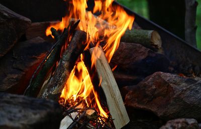 Close-up of bonfire