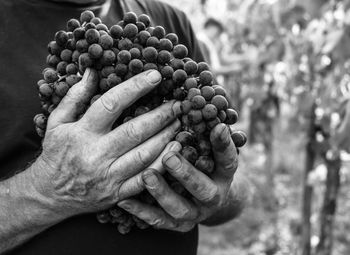 Close-up of man holding fruit