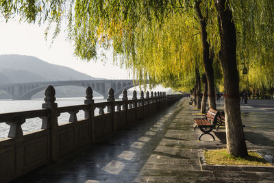 People by river against trees