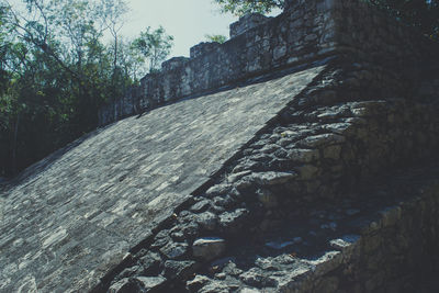 View of stone wall by trees in the forest