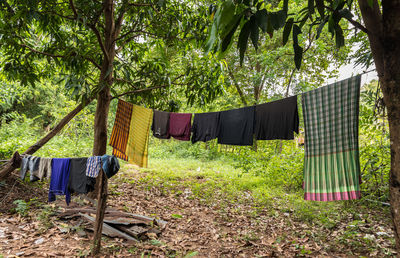 Clothes drying on clothesline