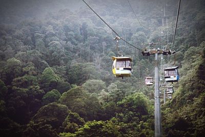 View of cable car over trees