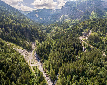 High angle view of pine trees on mountains