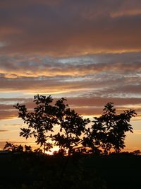 Silhouette tree on field against romantic sky at sunset