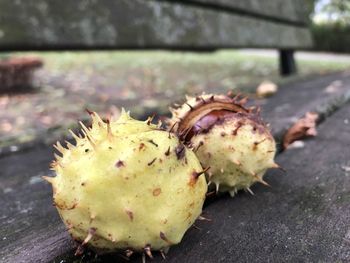 Close-up of fruits on footpath