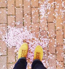 Low section of person standing over petals on footpath