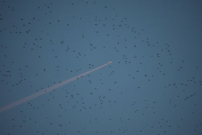 Low angle view of airplane flying against clear sky
