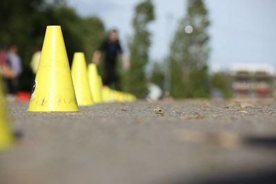 Close-up of yellow flower