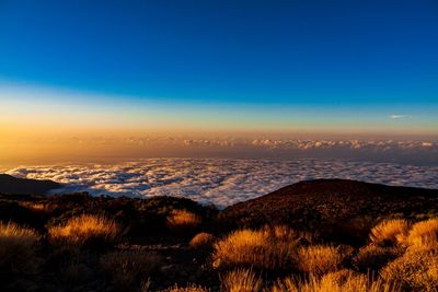 Scenic view of landscape against clear sky during sunset