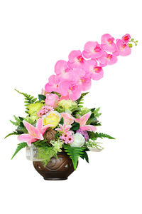 Close-up of pink flower pot against white background