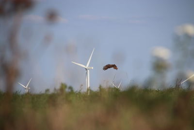 Close-up of wind turbines on field against sky