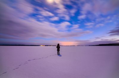 Rear view of man standing on beach against sky