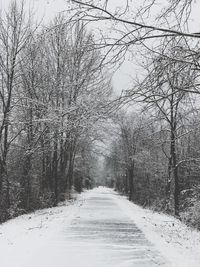 Road amidst bare trees during winter