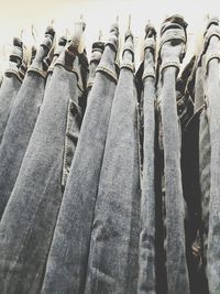 Close-up of clothes hanging