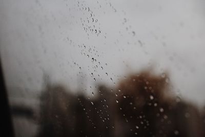 Close-up of water drops against sky