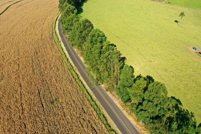 High angle view of agricultural field