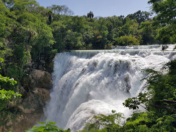 Scenic view of waterfall in forest