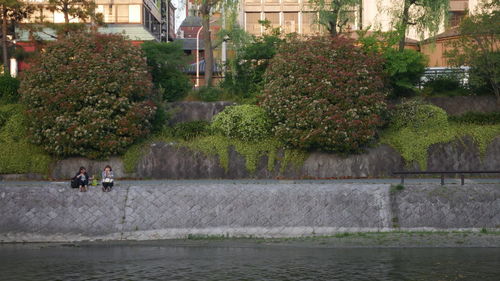 People in pond