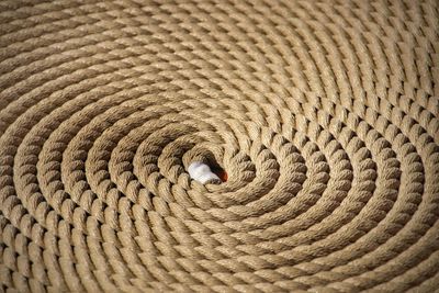 Full frame shot of ropes