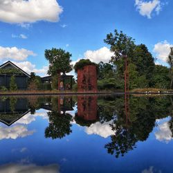 Reflection of trees and buildings in lake