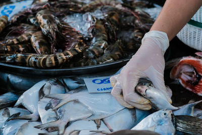 Midsection of fish for sale at market stall