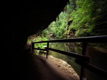 Bridge amidst trees in forest