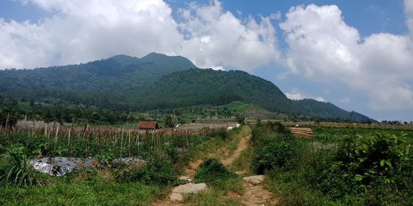 Panoramic view of landscape against sky