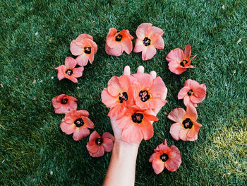 High angle view of woman hand on flower