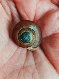 Close-up of person holding human eye