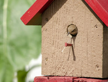 birdhouse