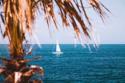 Scenic view of seascape against sky