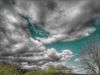 Low angle view of plants against cloudy sky