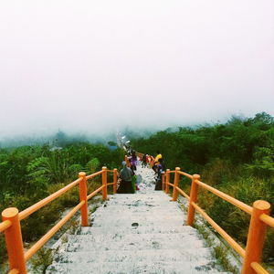 View of footbridge over river